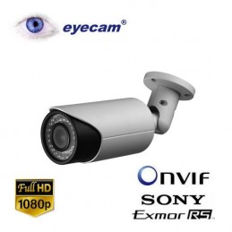 EyecamCamera IP Megapixel Eyecam EC-1102 - Full HD 1080P Varifocala
