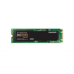 SAMSUNGSM SSD 250GB 860EVO M.2 2280 MZ-N6E250BW