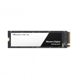 KS SSD 1TB M2 NVMe SKC2500M8/1000G